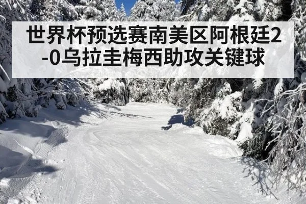 世界杯预选赛南美区阿根廷2-0乌拉圭梅西助攻关键球